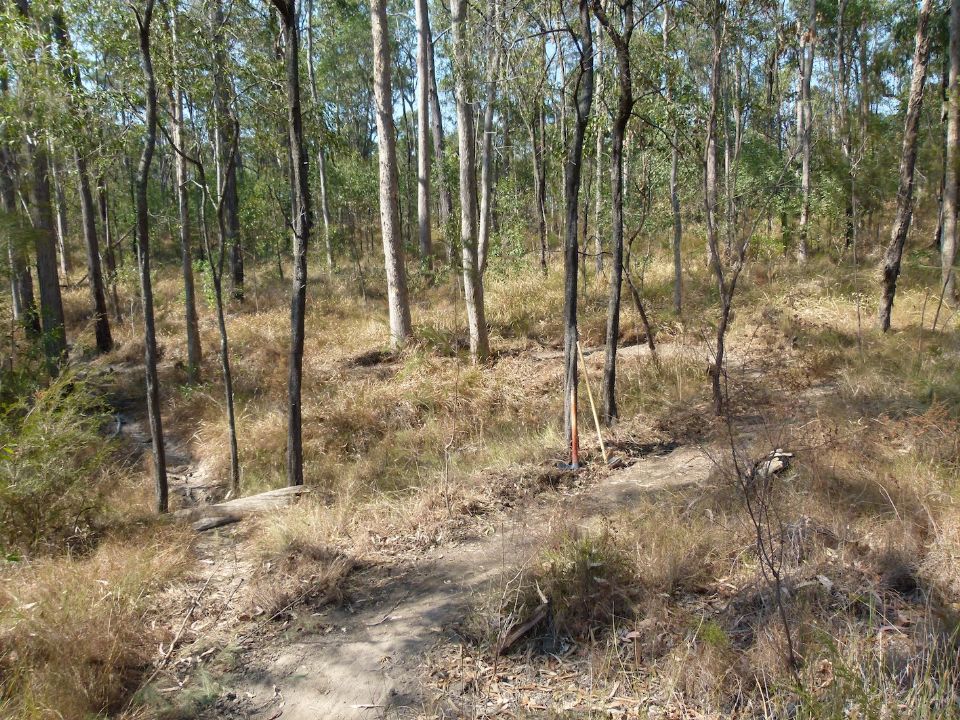 Obvious grade reversals in the new trail protect agains erosion